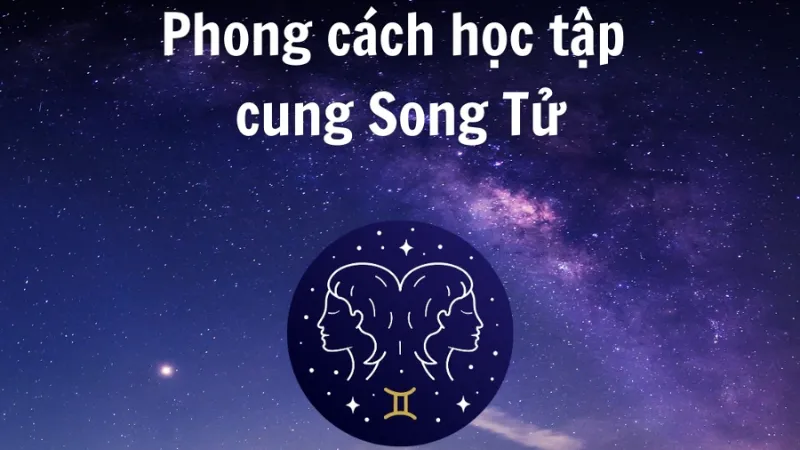 Đặc điểm trí tuệ và phong cách học của Song Tử