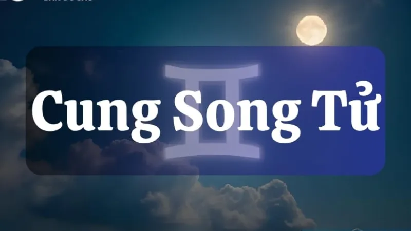 Tương tác, động lực và công cụ hỗ trợ