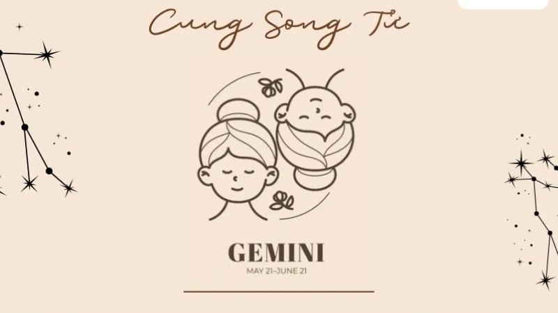 Cung Song Tử Học Có Giỏi Không? Bật Mí Trí Tuệ Và Cách Học